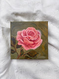 "Rose" 6" x 6" Original Oil painting