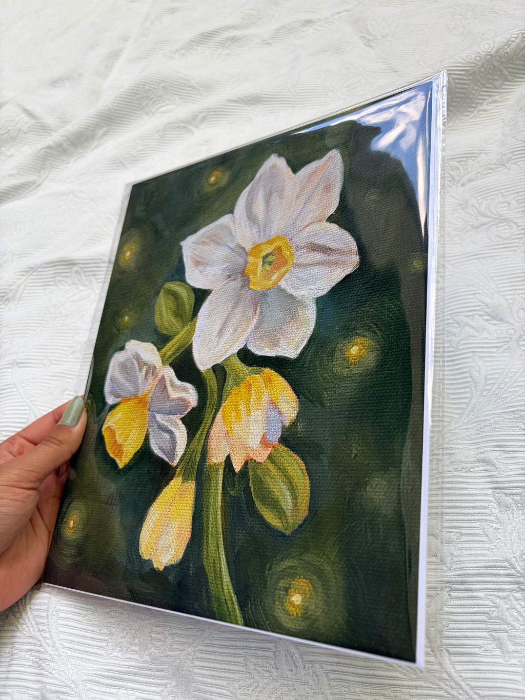 "Daffodil Study" Fine art print