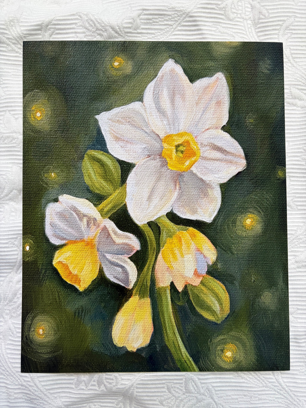 "Daffodil Study" Fine art print