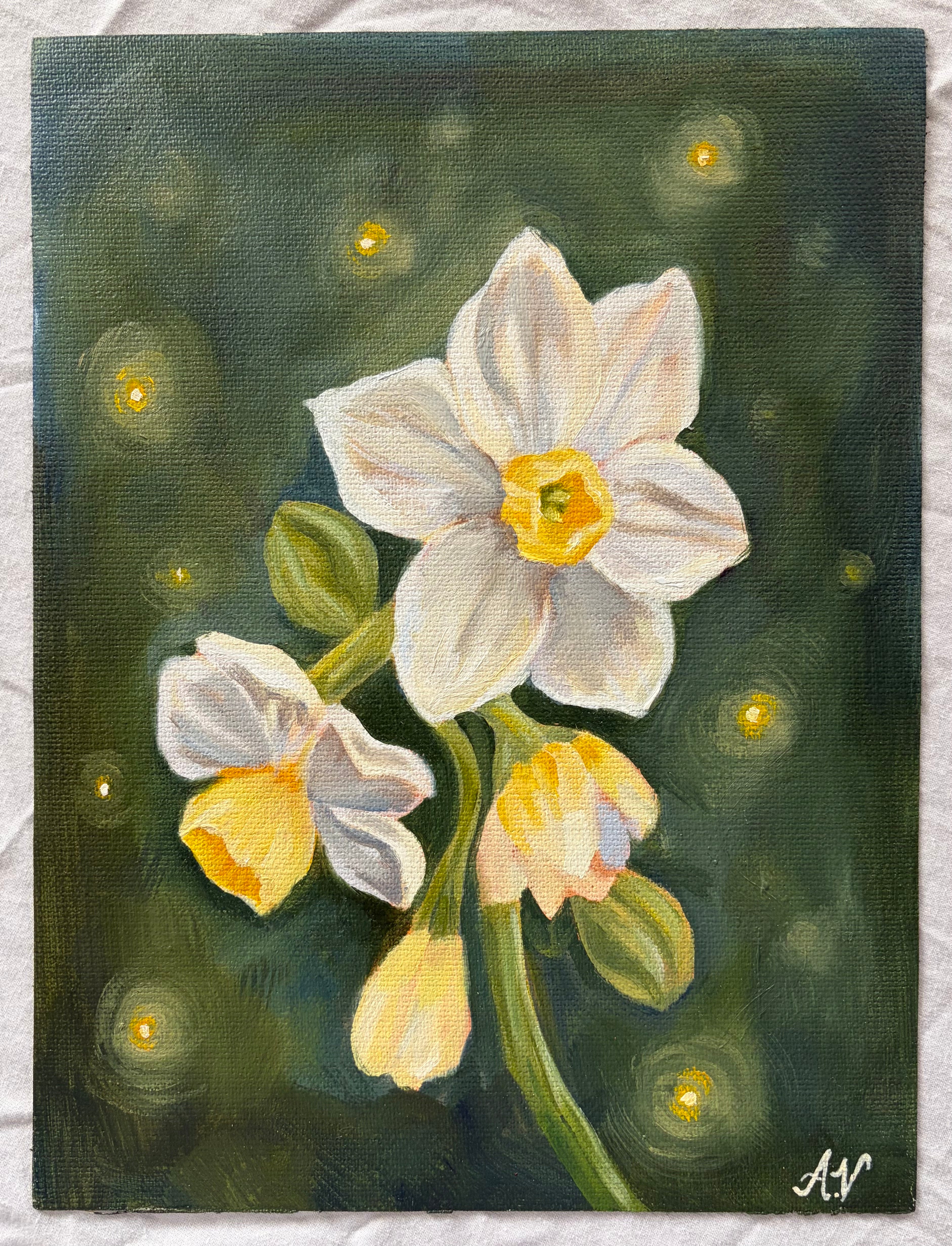 "Daffodil Study" 8 x 10 inch Fine art print