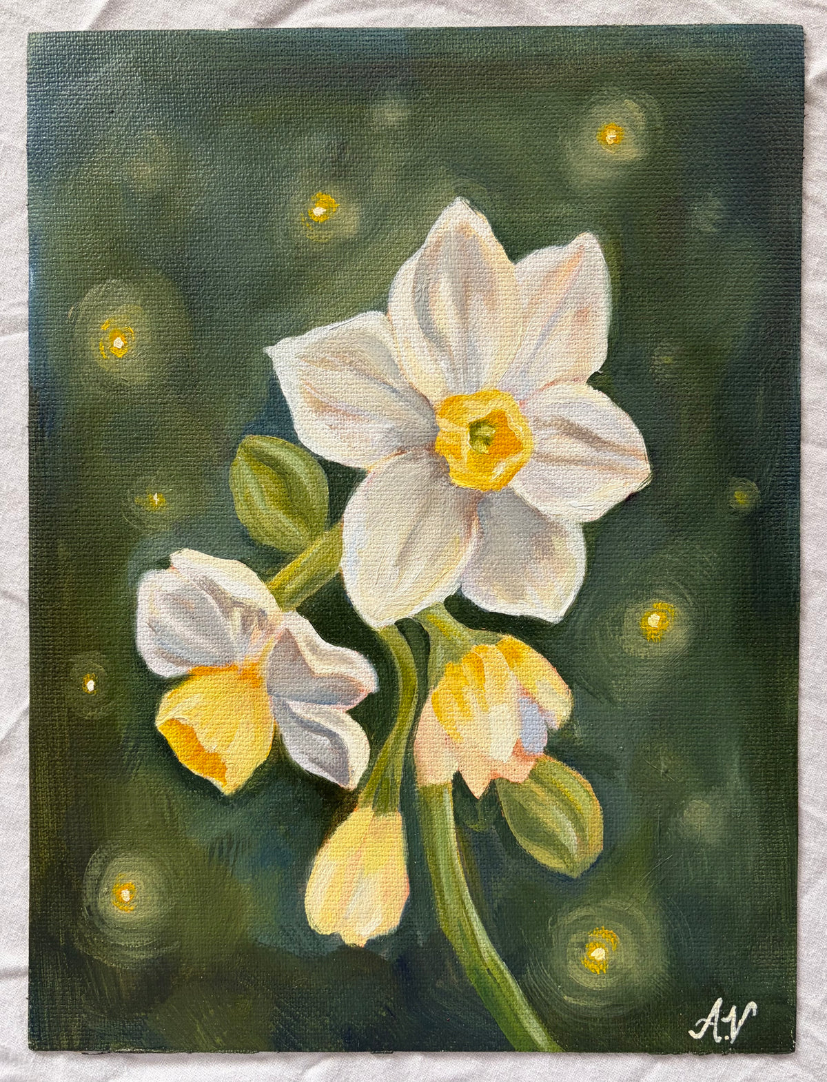 "Daffodil Study"