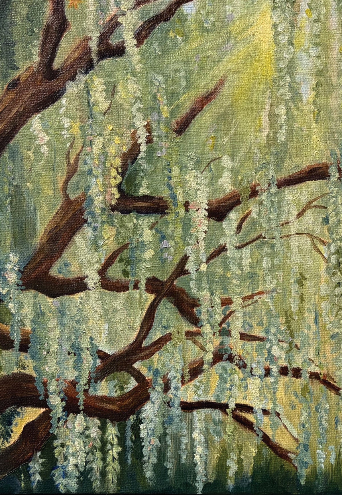 "Wisteria Memories"